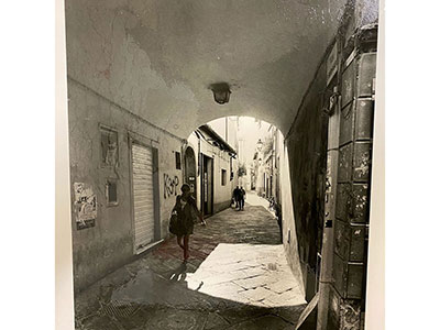 stampa zonale